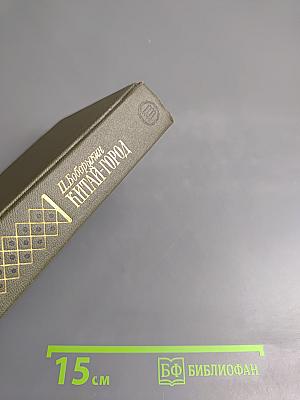 Китай-город. Проездом