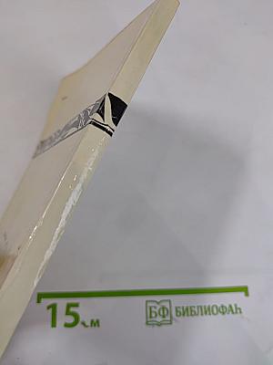 За круглым столом прошлого