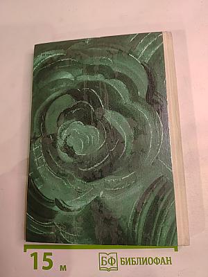 Долговекий Мастер