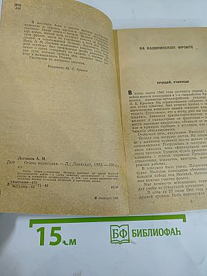 Огонь возмездия