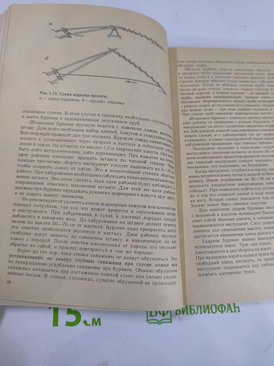 Наши помощники на садовом участке