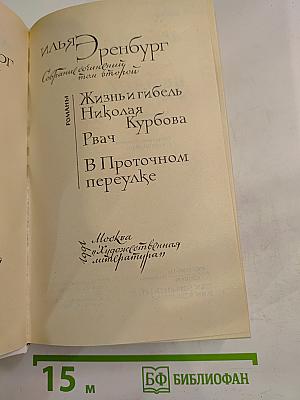 Собрание сочинений. Том 2. Романы: Жизнь и гибель Николая Курбова. Рвач. В Проточном переулке
