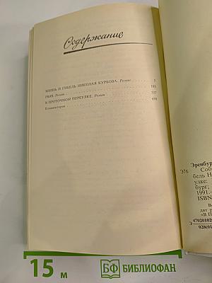 Собрание сочинений. Том 2. Романы: Жизнь и гибель Николая Курбова. Рвач. В Проточном переулке