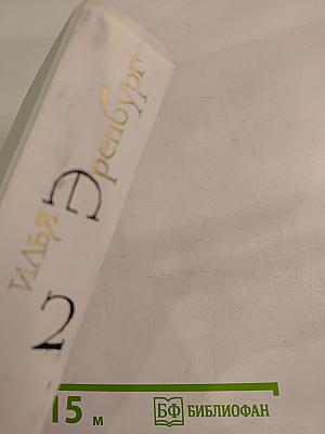 Собрание сочинений. Том 2. Романы: Жизнь и гибель Николая Курбова. Рвач. В Проточном переулке