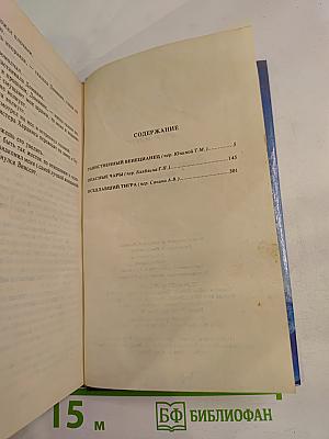 Таинственный венецианец