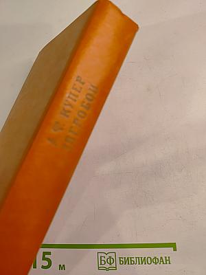 Зверобой, или Первая тропа войны