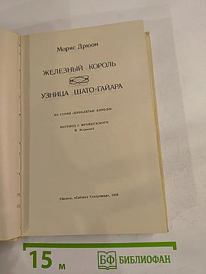 Железный король. Узница Шато-Гайара