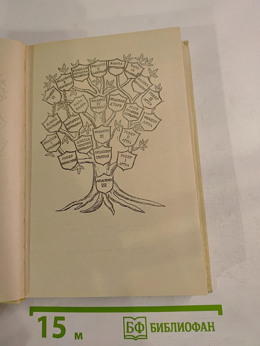 Железный король. Узница Шато-Гайара