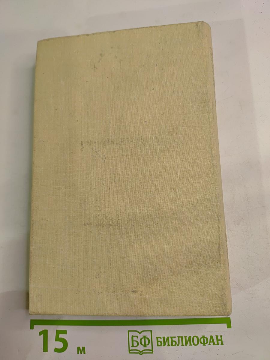 Железный король. Узница Шато-Гайара