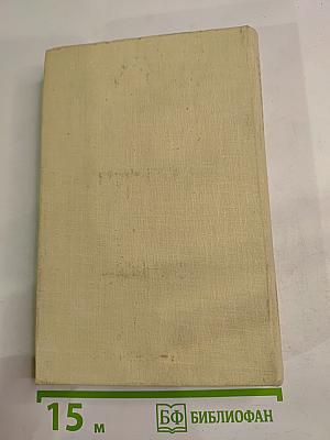 Железный король. Узница Шато-Гайара