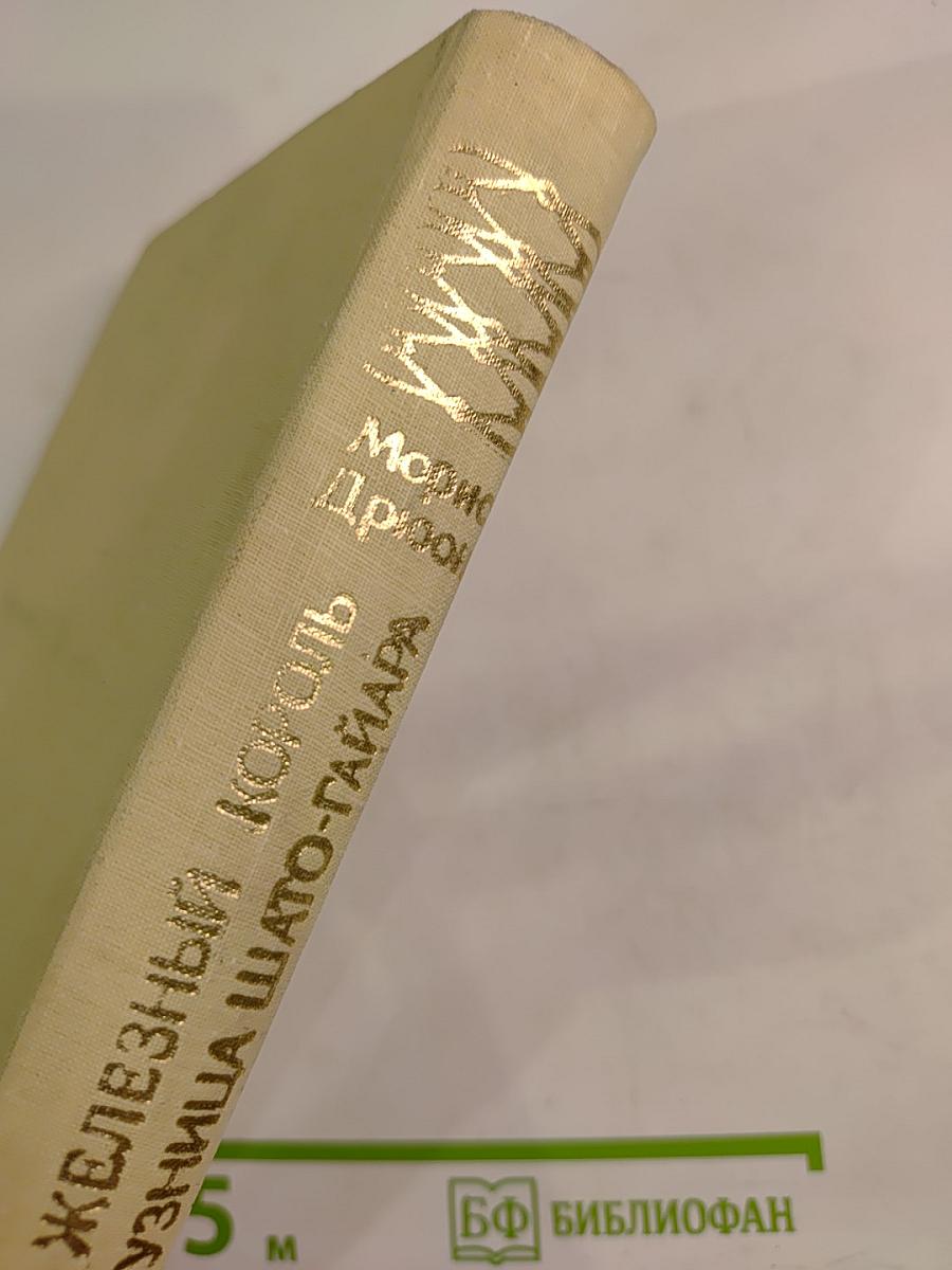 Железный король. Узница Шато-Гайара