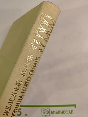 Железный король. Узница Шато-Гайара