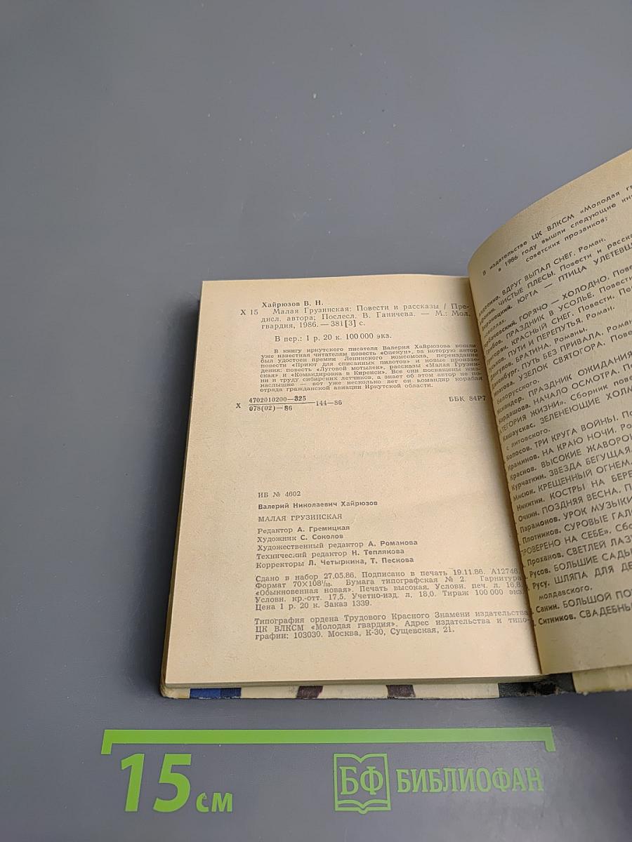 Малая Грузинская. Повести и рассказы