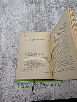 Казанская площадь