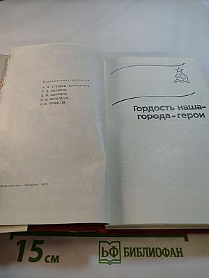 Знамена Победы. Том 2