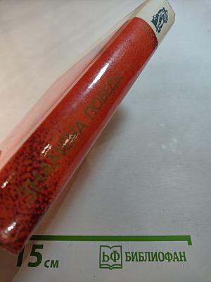 Знамена Победы. Том 2