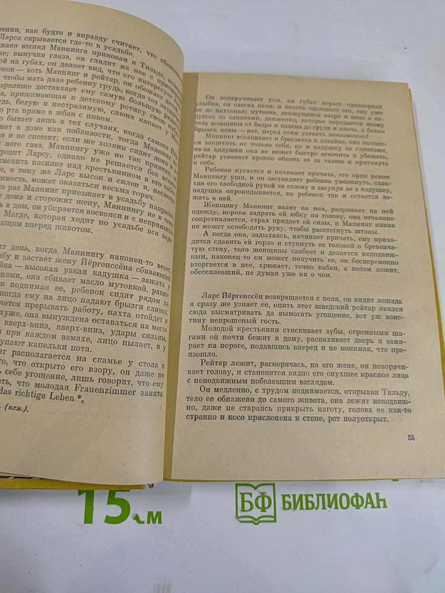 Жизнь и смерть вольного стрелка