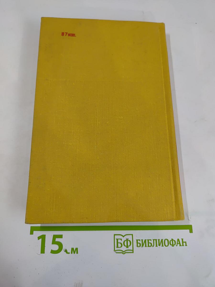 Жизнь и смерть вольного стрелка