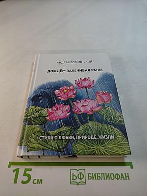 Дождём залечивая раны