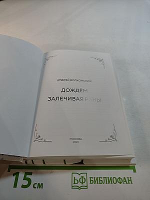 Дождём залечивая раны