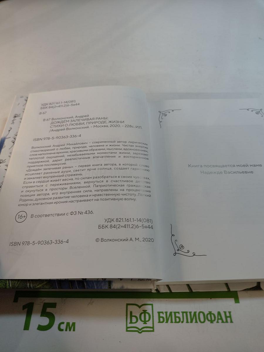 Дождём залечивая раны