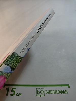 Дождём залечивая раны