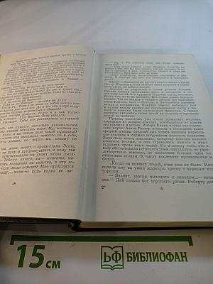 Собрание сочинений. Том второй. Сын рыбака. Роман