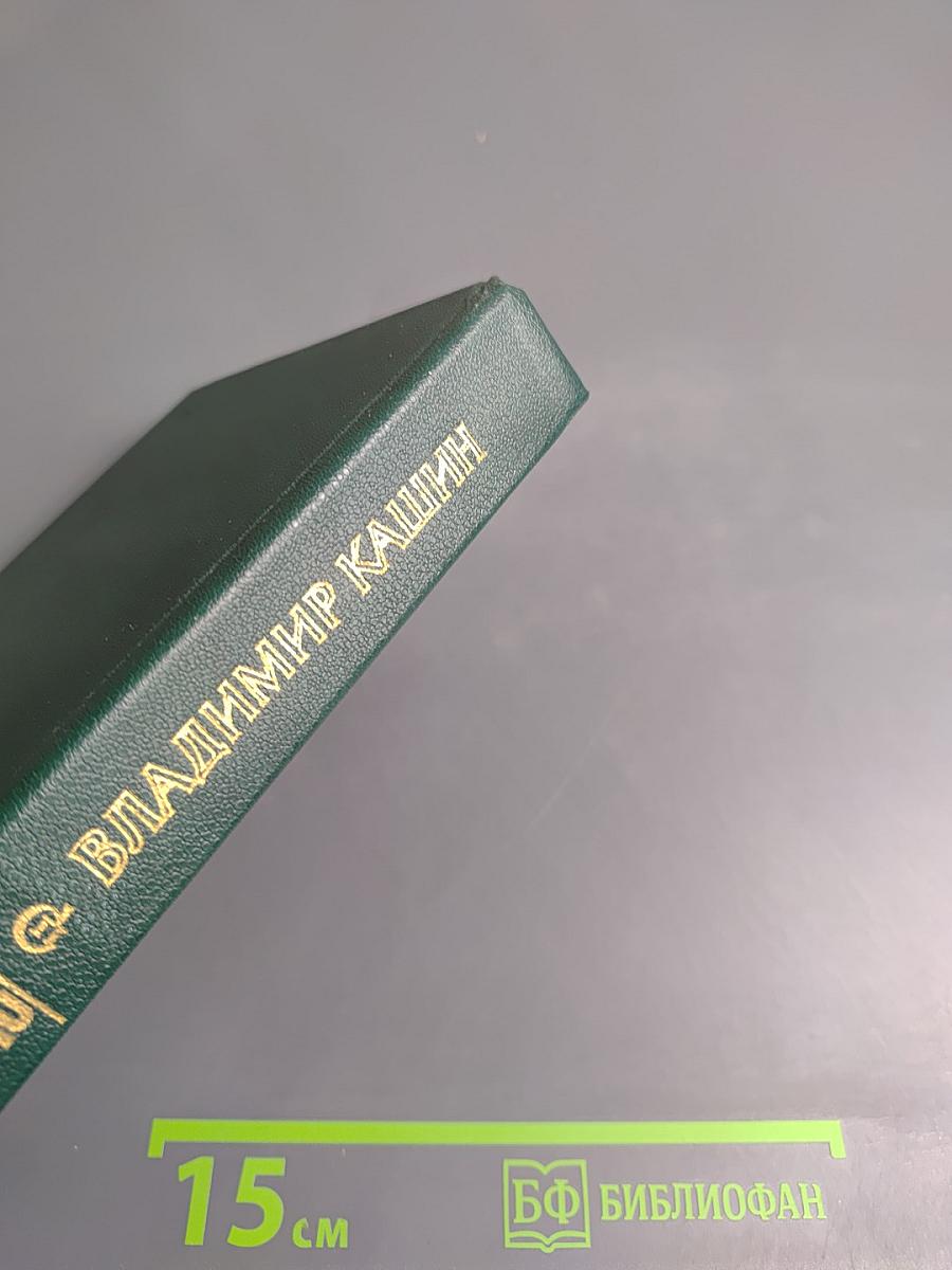 Справедливость — моё ремесло: Романы. Книга вторая