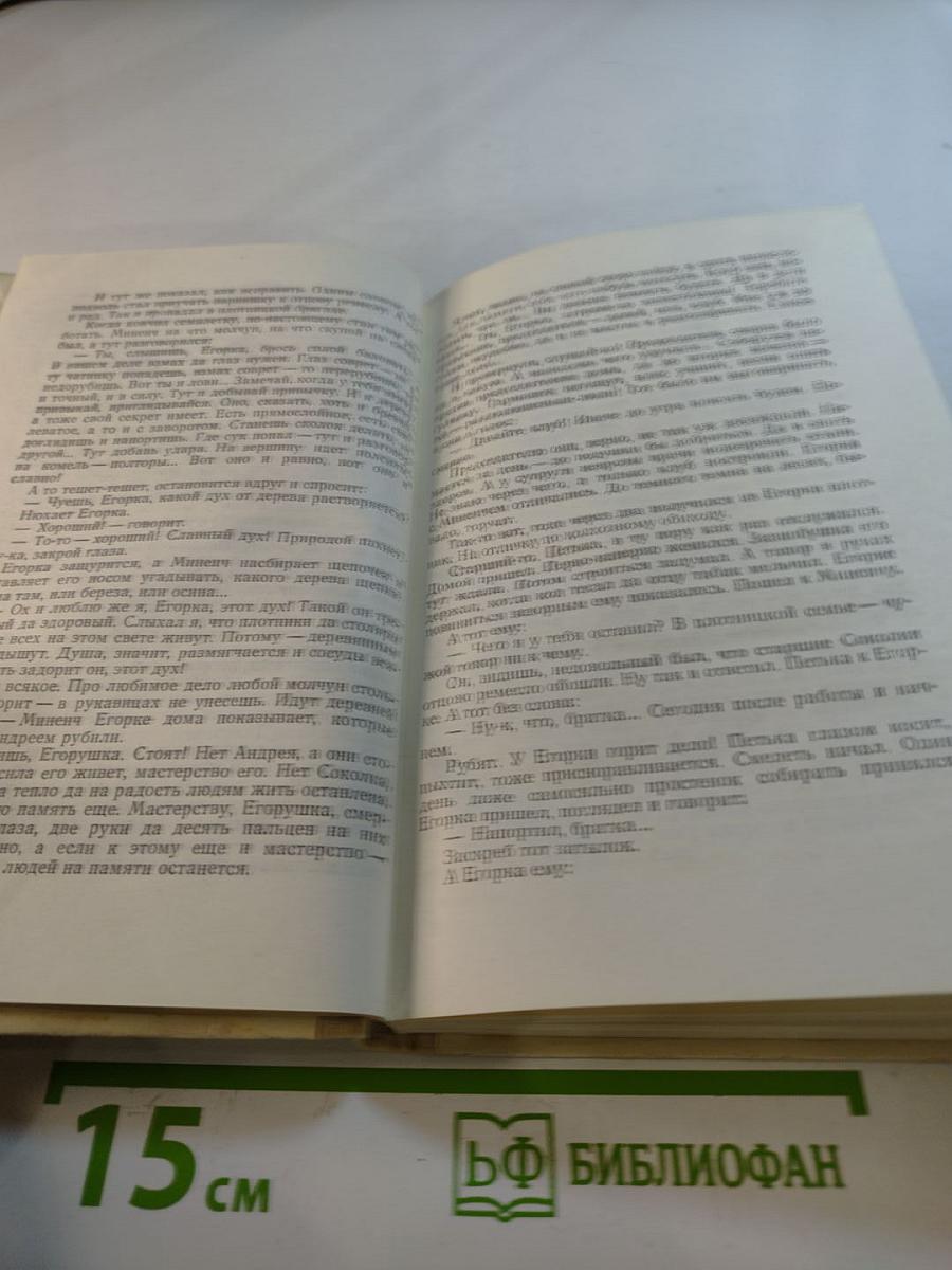 Зорька на яблочке