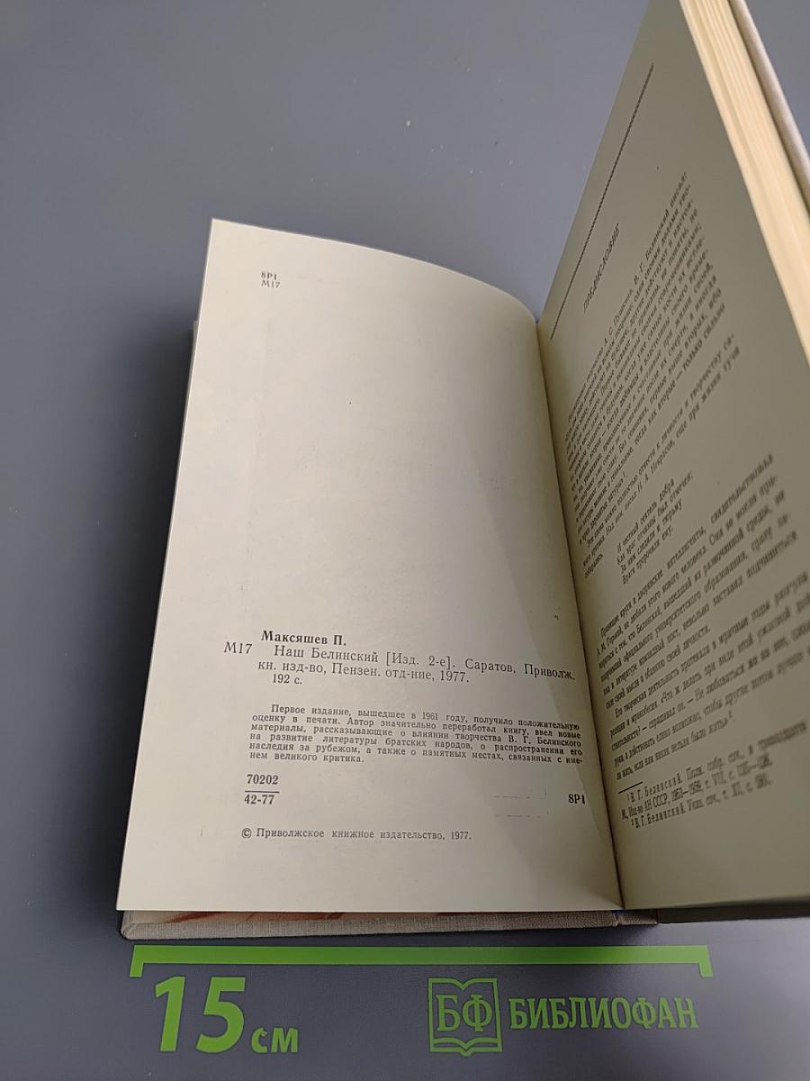 Наш Белинский