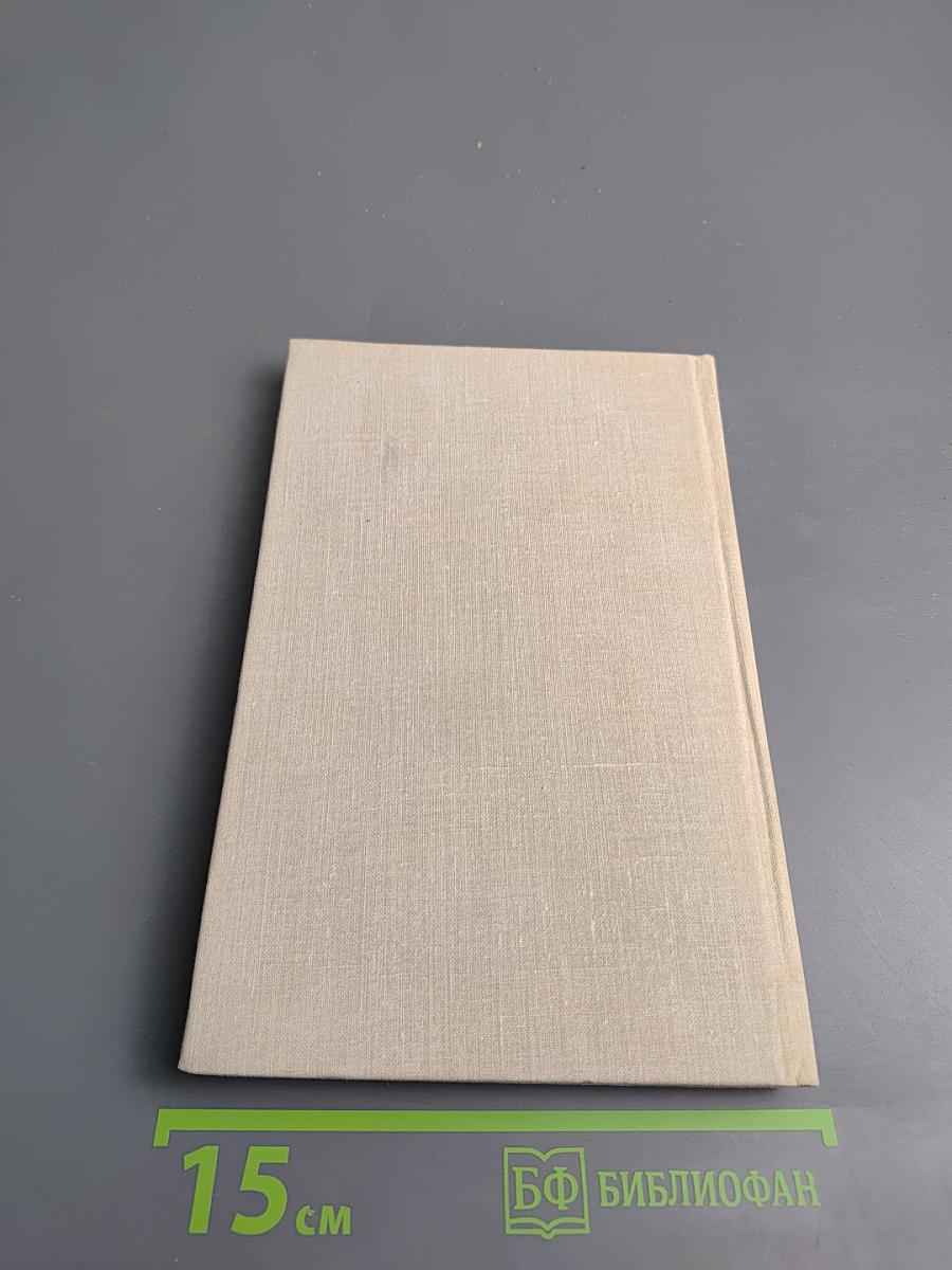 Наш Белинский