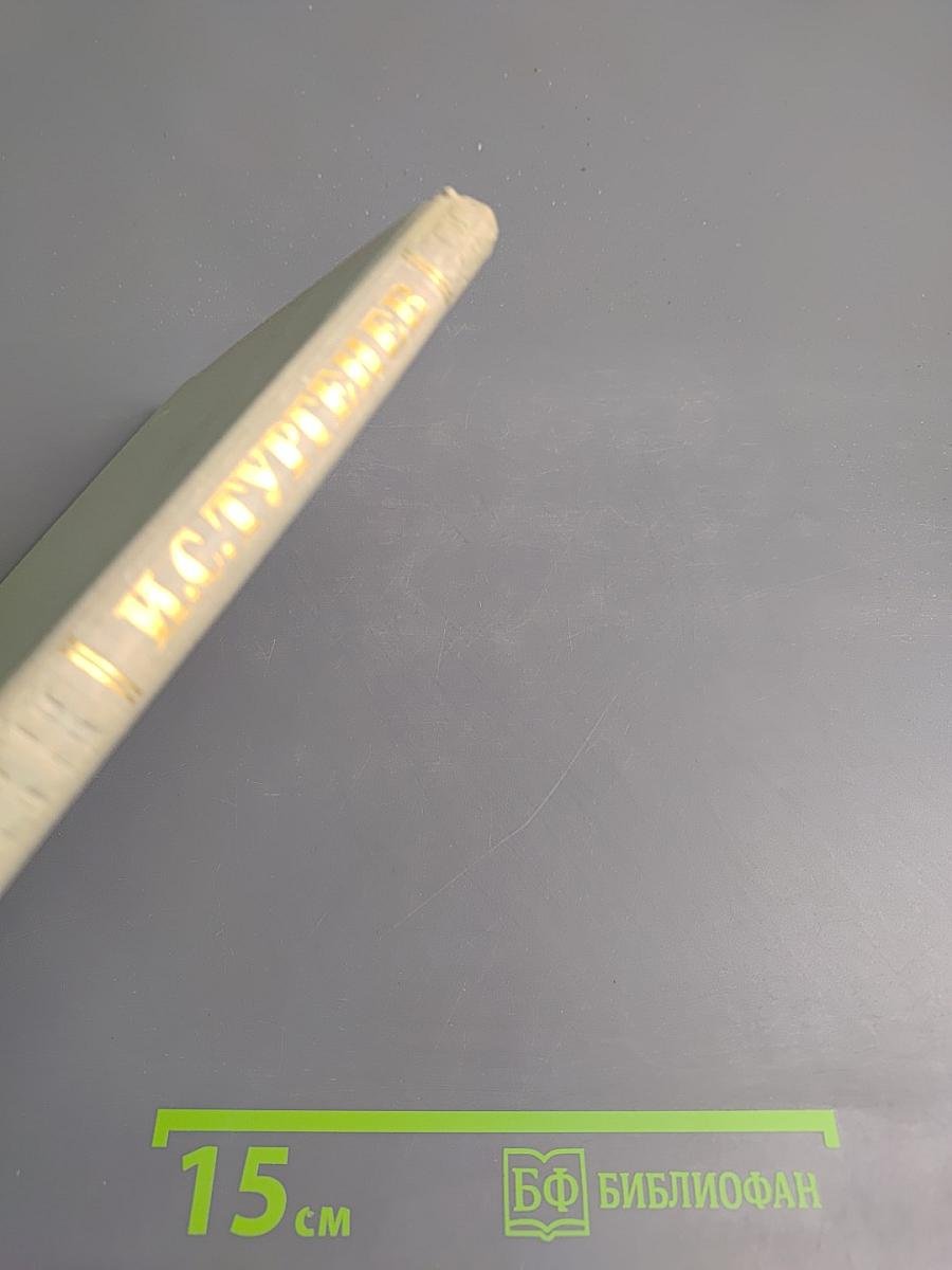 Собрание сочинений. Том седьмой. Повести и рассказы 1863-1870