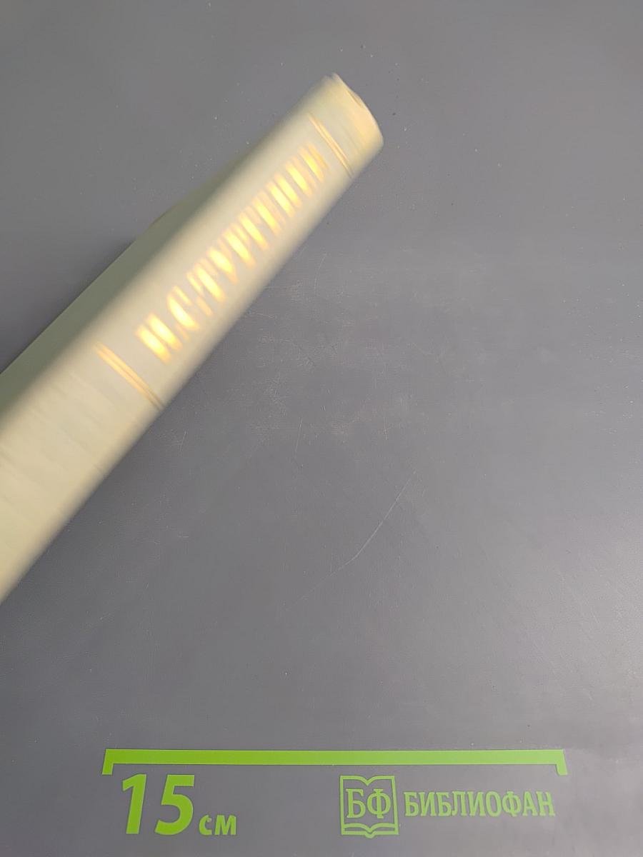 Собрание сочинений. Том первый. Записки охотника