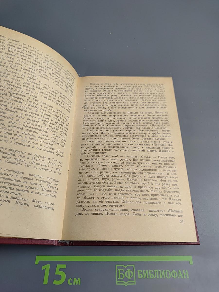 Погоня на Грюнвальд