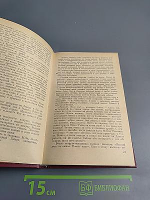 Погоня на Грюнвальд