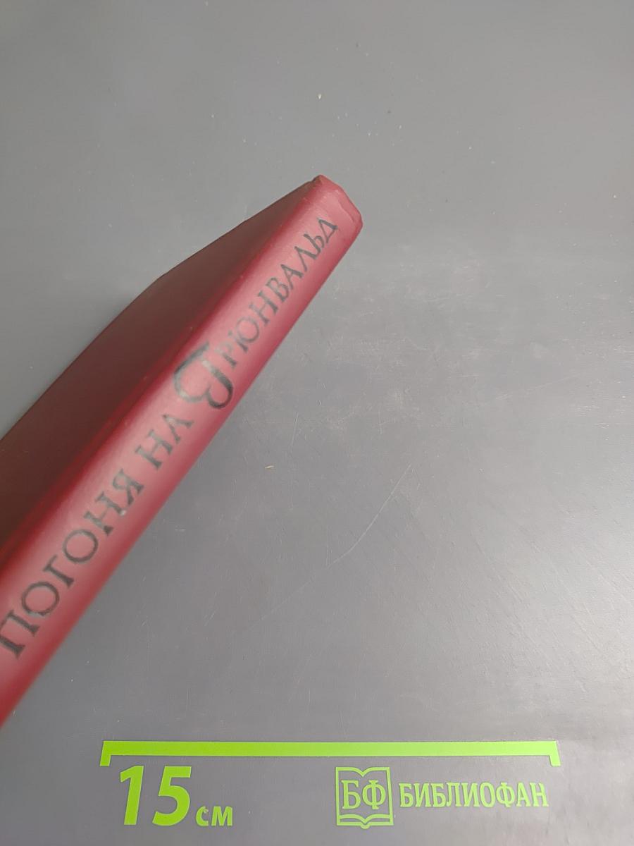 Погоня на Грюнвальд