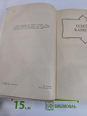 Ольга Форш. Романы