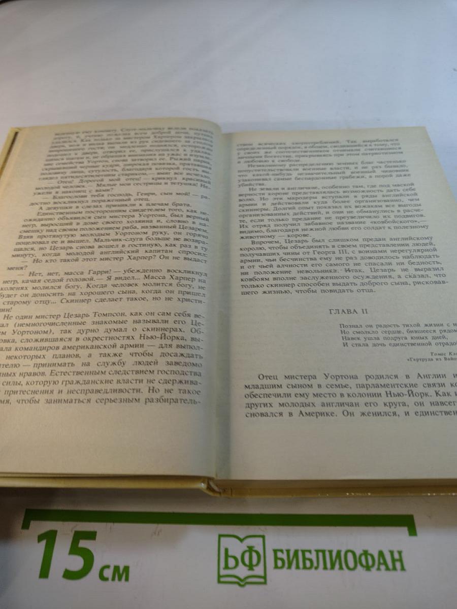 Шпион, или Повесть о нейтральной территории