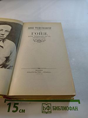 Гойя, или Тяжкий путь познания