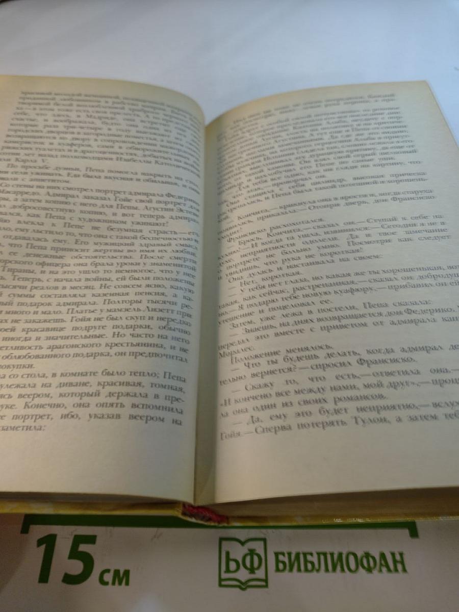 Гойя, или Тяжкий путь познания