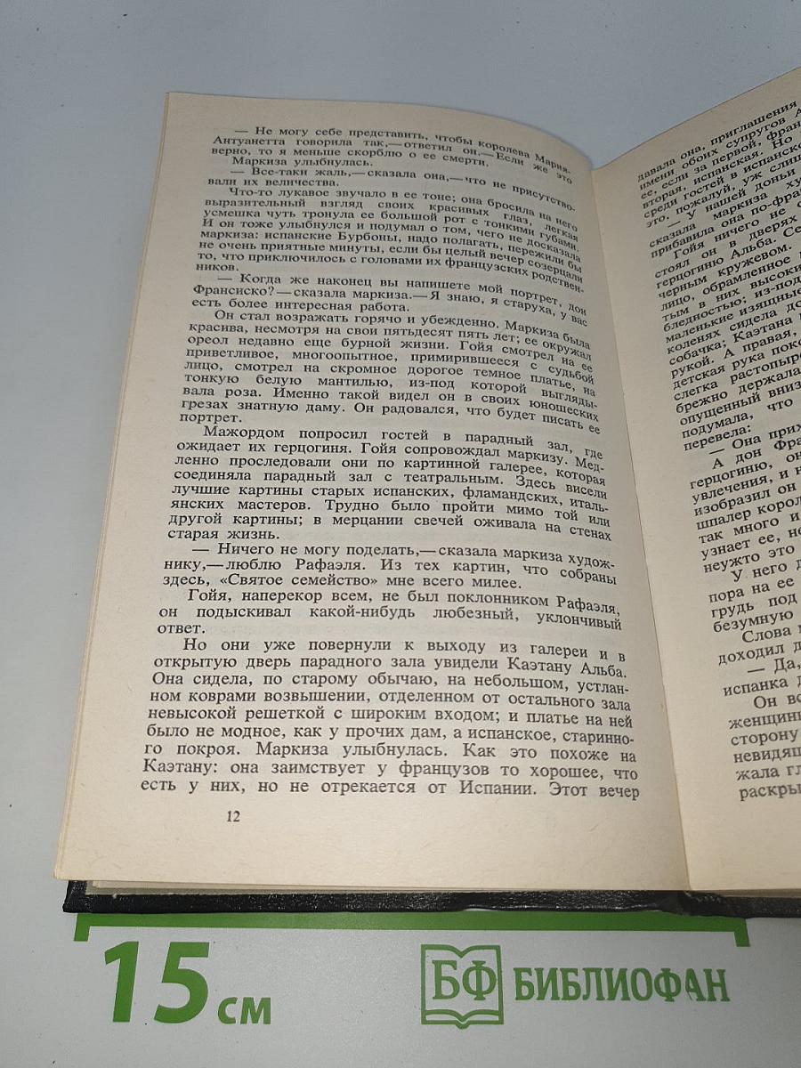 Гойя, или Тяжкий путь познания