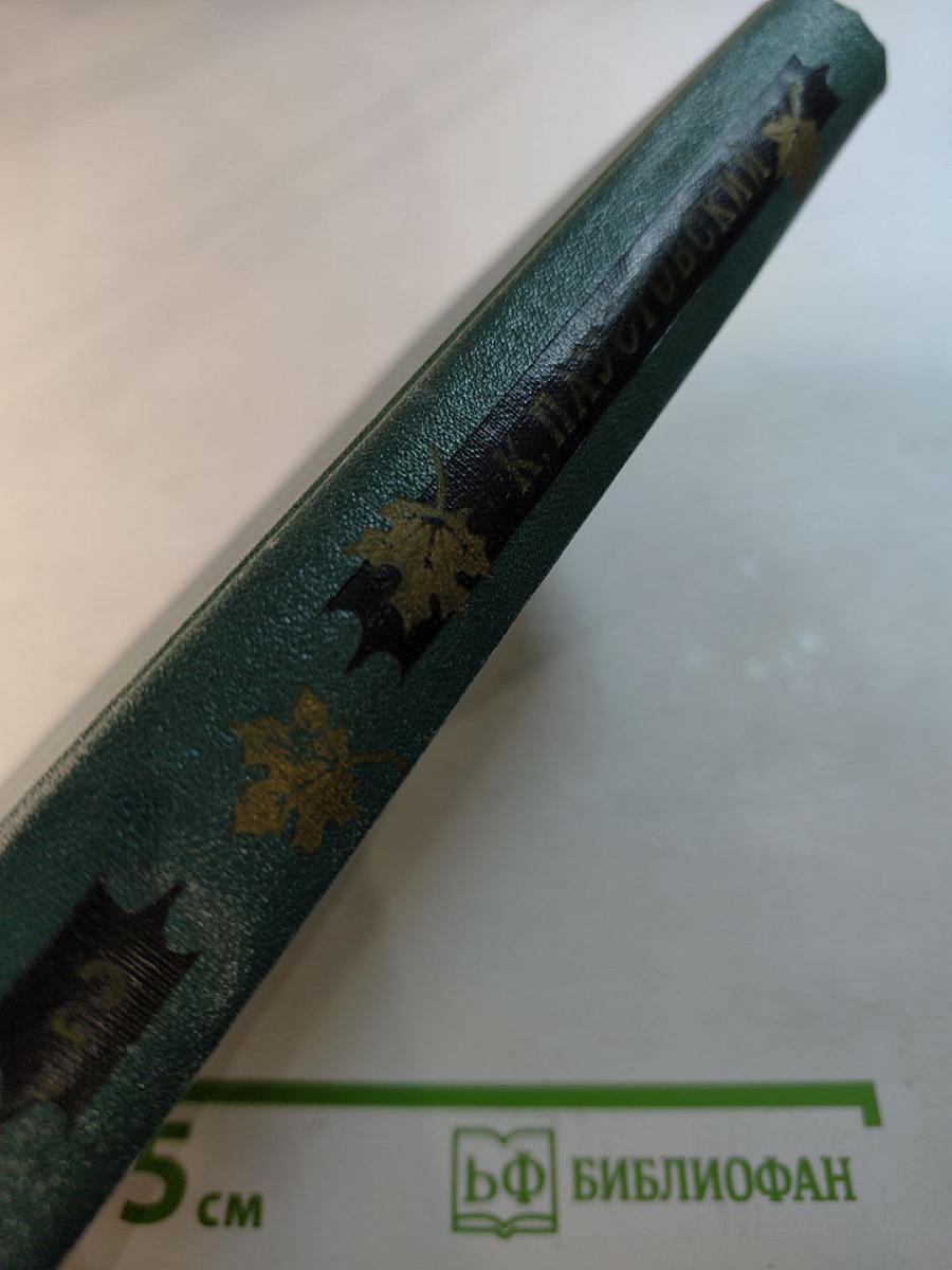 Избранные произведения. Том второй. Маленькие повести. Рассказы