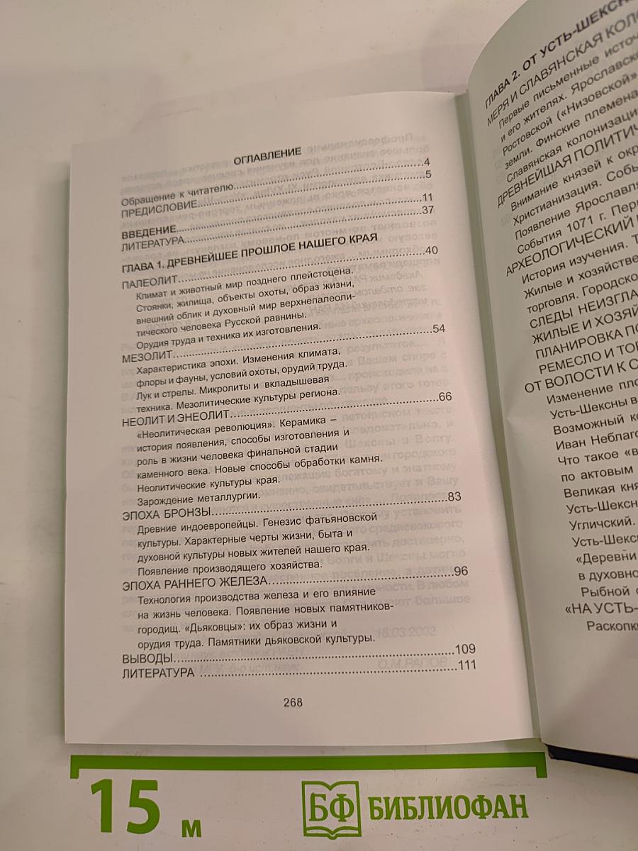 Тысячелетия вокруг устья Шексны