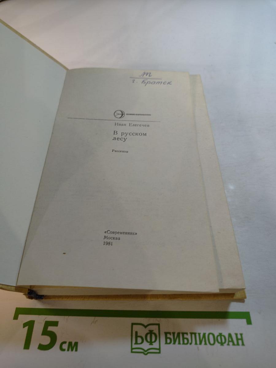 В русском лесу
