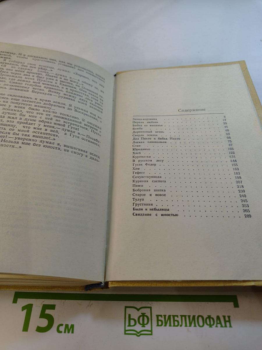 В русском лесу