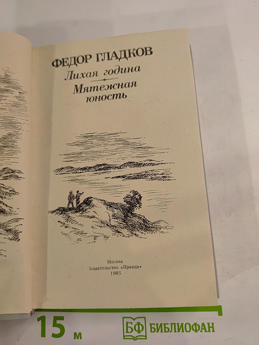 Лихая година. Мятежная юность