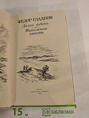 Лихая година. Мятежная юность