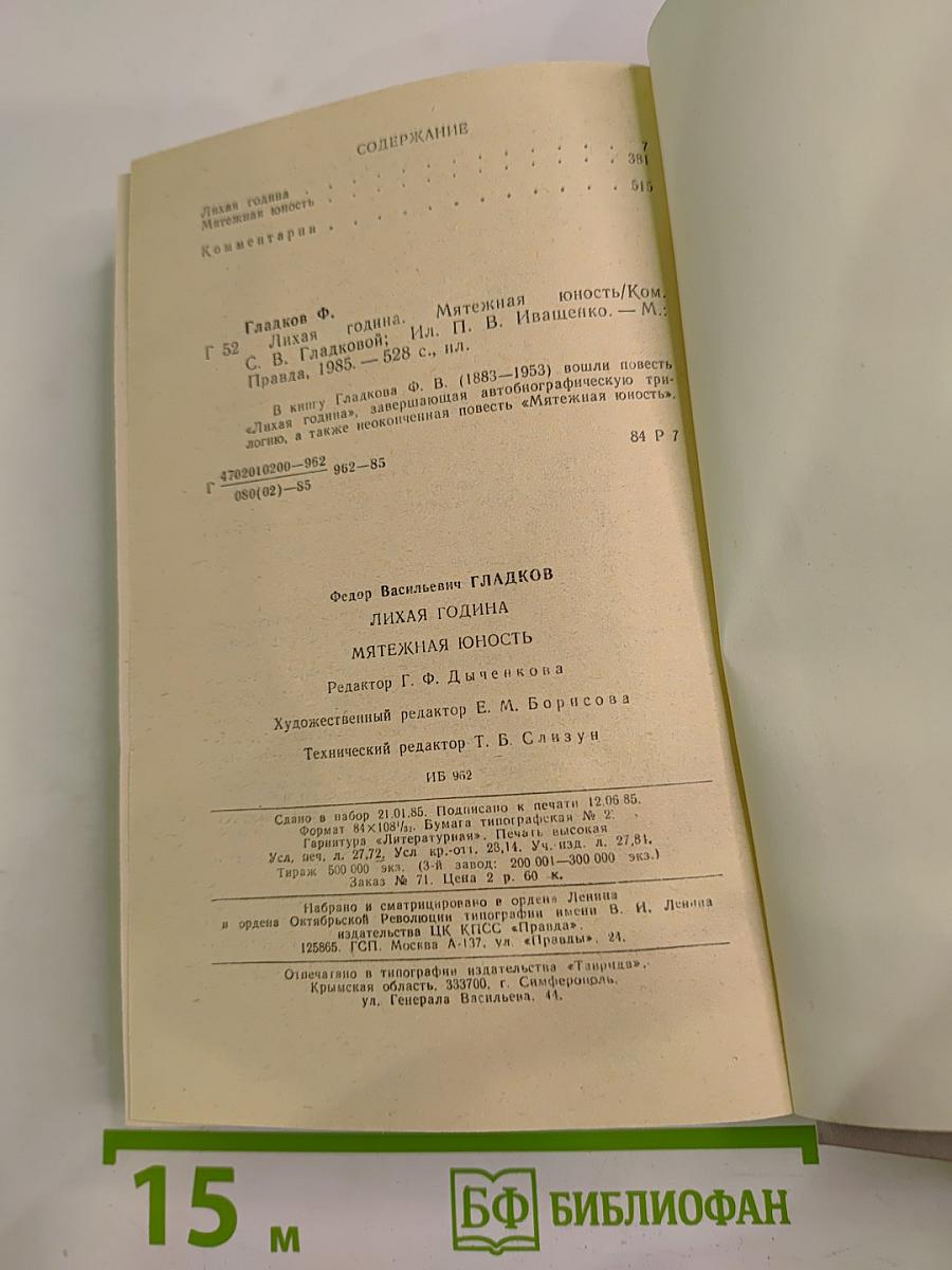 Лихая година. Мятежная юность