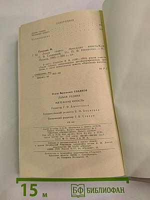 Лихая година. Мятежная юность