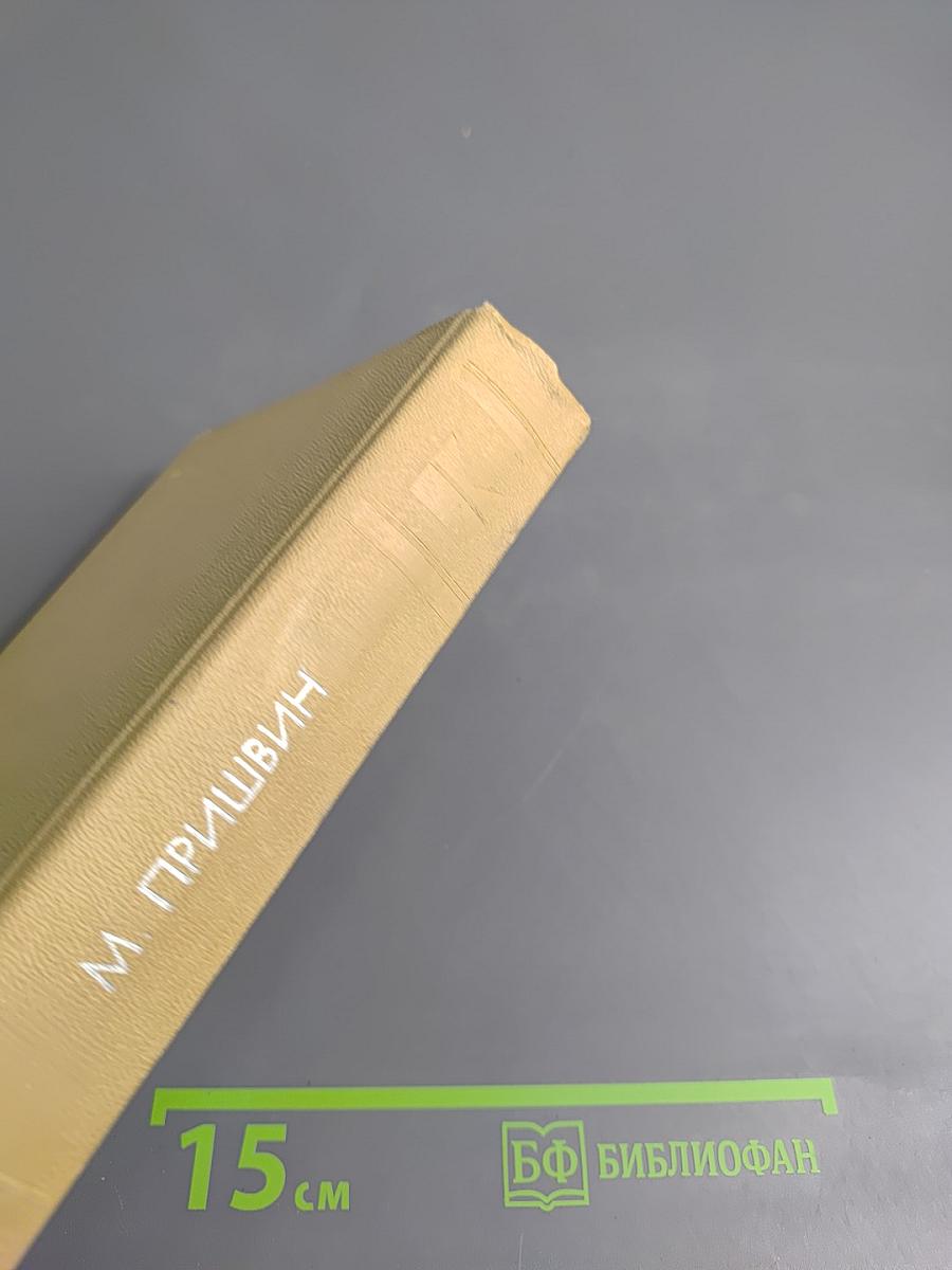 Сказка о правде